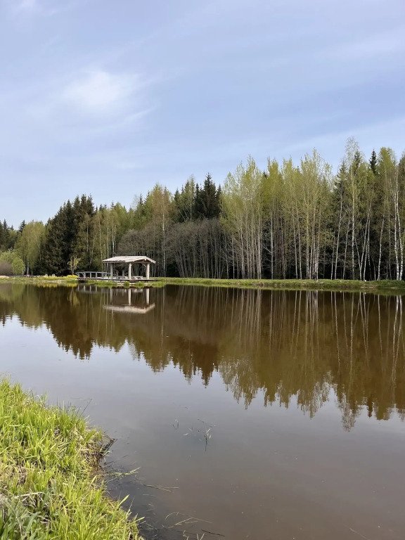Частный дом в стиле Этно Фермерские Дачи, Московская область: фото 2