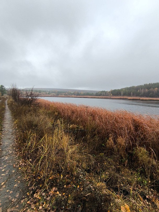 Фото 3 из отзыва о глэмпинге Глэмпинг-парк Лох-бро
