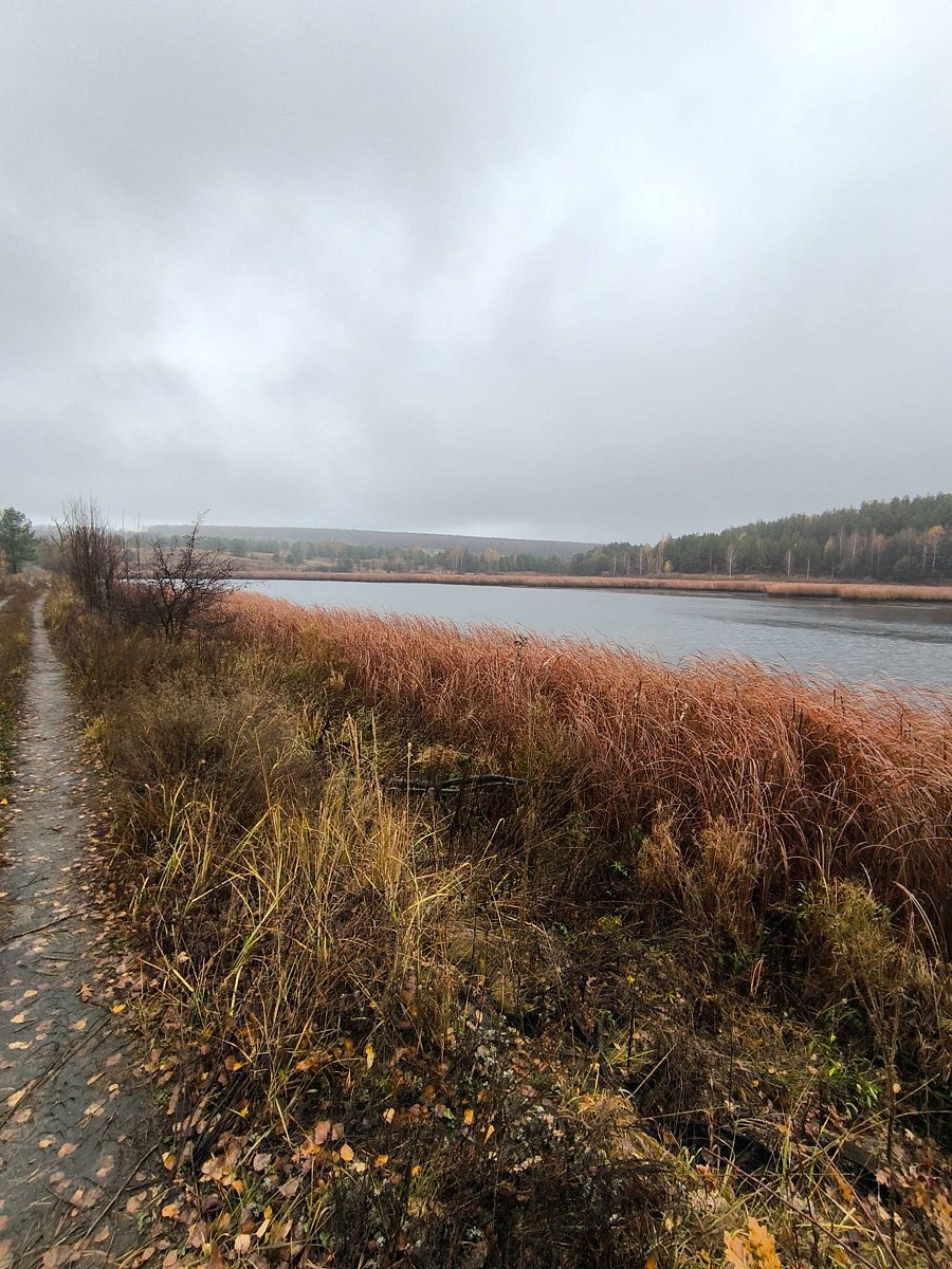 Фото 3 из отзыва о глэмпинге Глэмпинг-парк Лох-бро