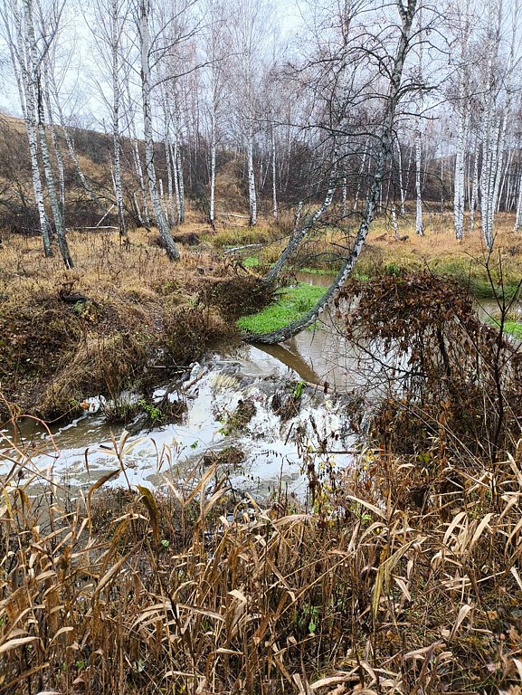 Фото из отзыва от 20.10.2025