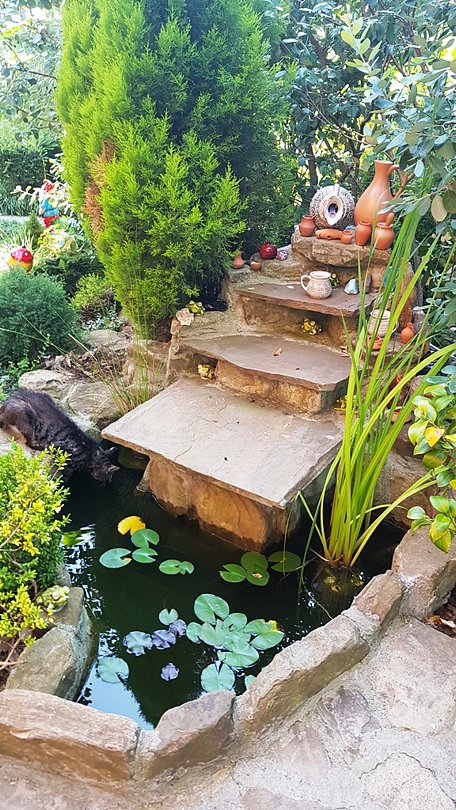 Аквариум Лоо, Краснодарский край: фото 4