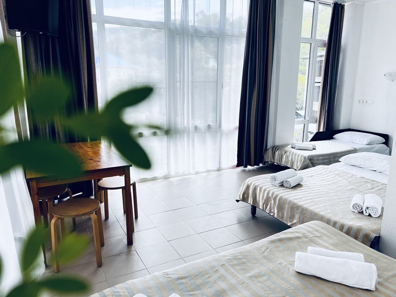 Семейный 5-местный 1-комнатный (с мини-кухней)