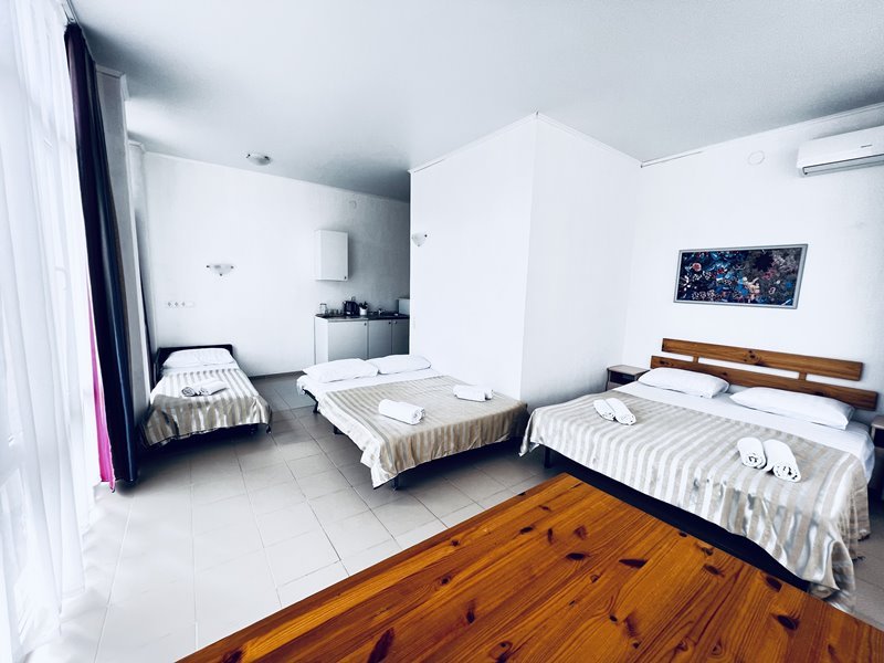 Семейный 5-местный 1-комнатный (с мини-кухней)