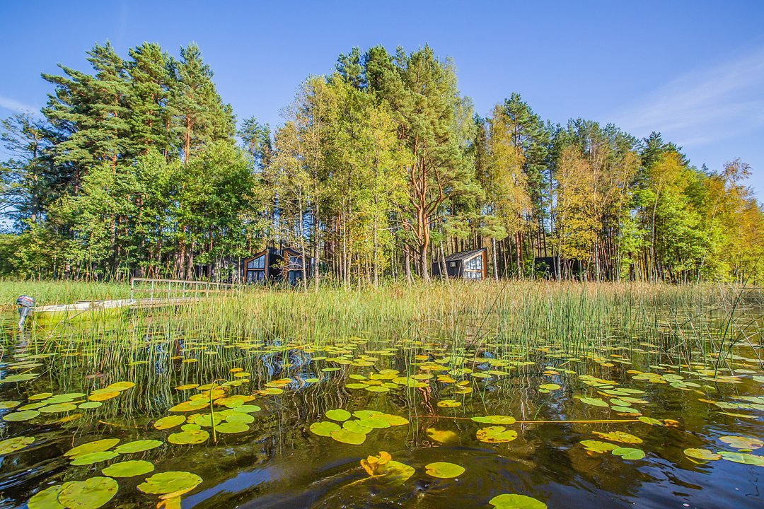 Солнечный, Псковская область: фото 3