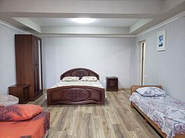 УЛУЧШЕННЫЙ 4-местный 1-комнатный вид на сад, Гостевой дом У Розы, Гагра