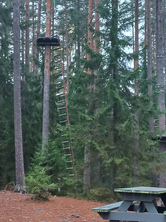 Фото из отзыва от 19.10.2025