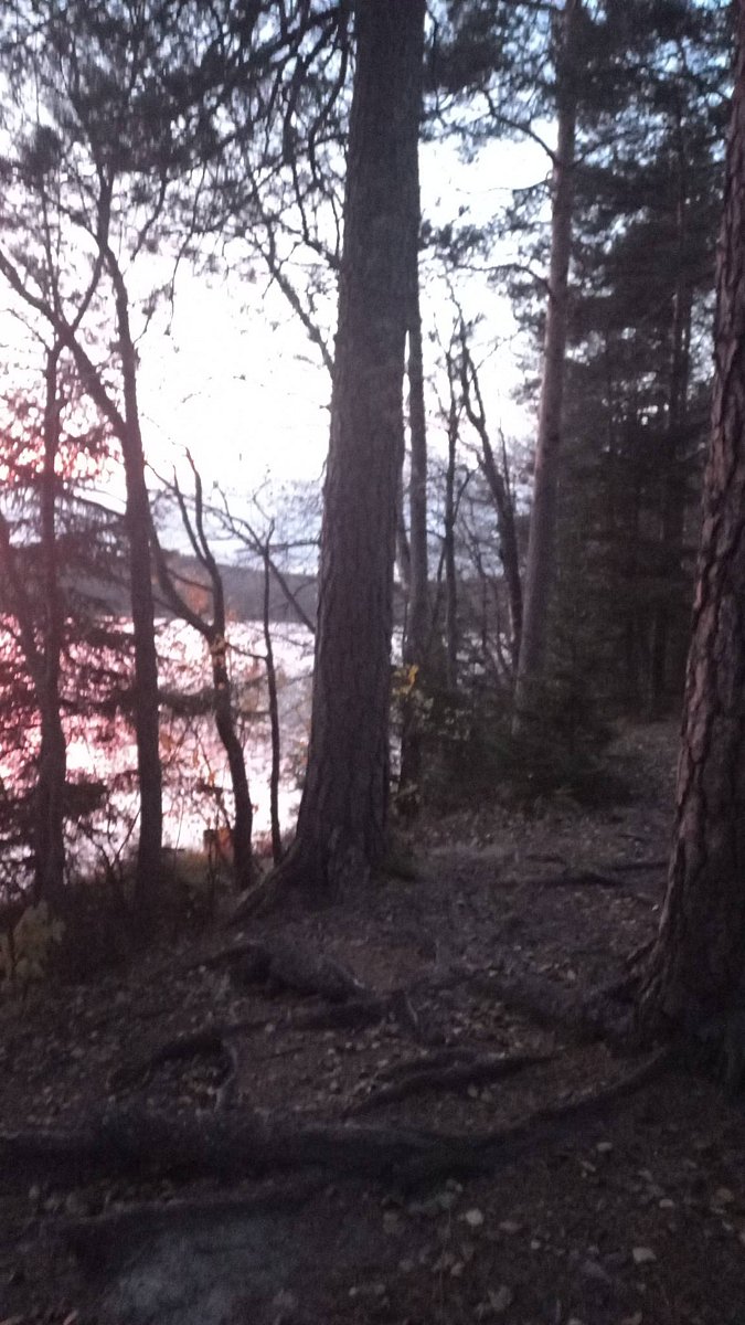 Фото 2 из отзыва о загородном клубе ОРЕХ