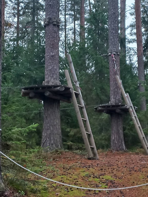 Фото из отзыва от 19.10.2025