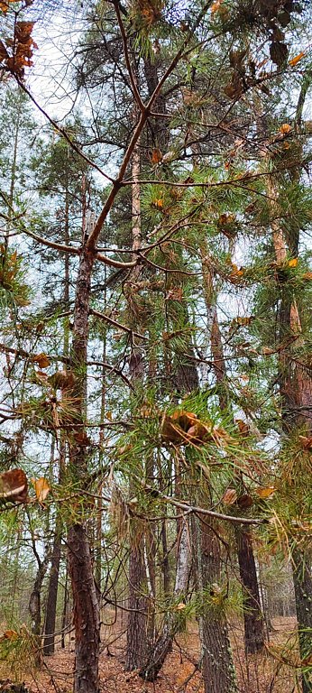 Фото из отзыва от 24.10.2025