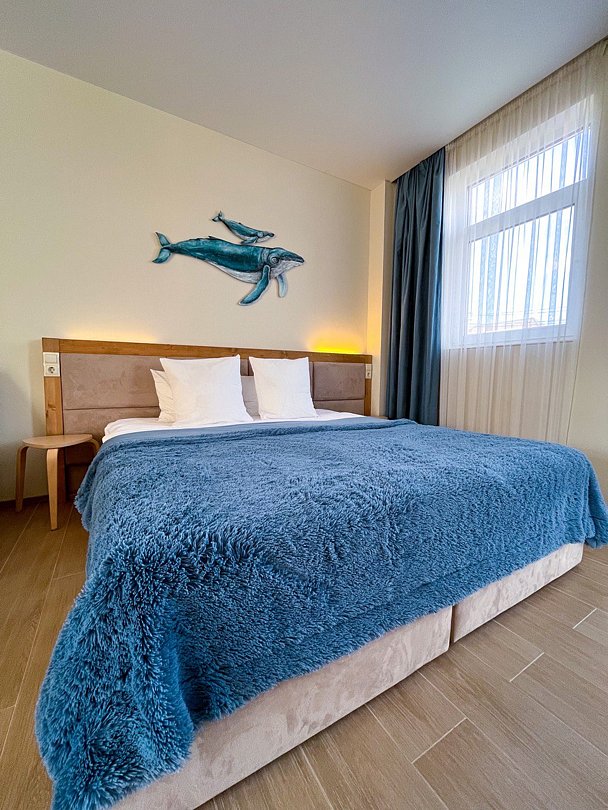 Делюкс 2-местный