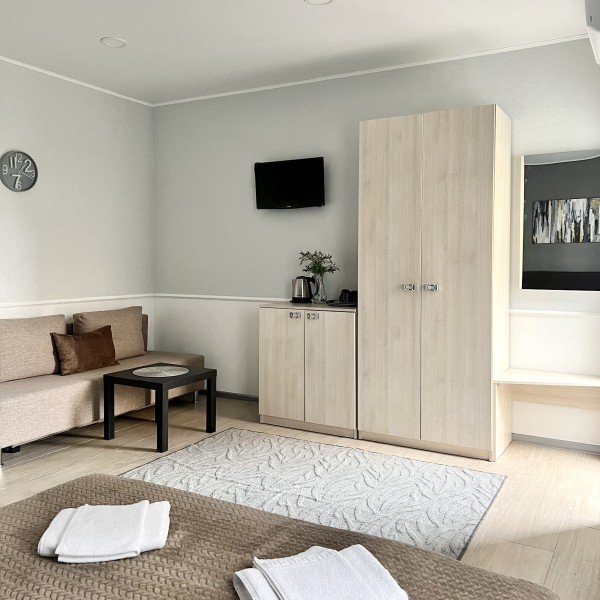 Комфорт 3-местный 1-комнатный