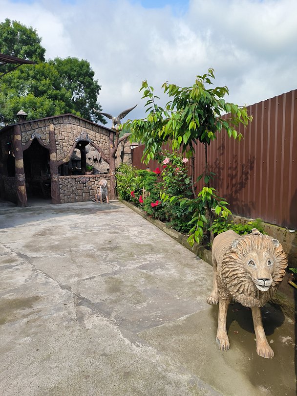 Территория