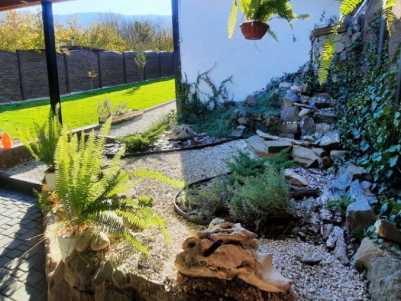 Kokkoz, Крым: фото 4