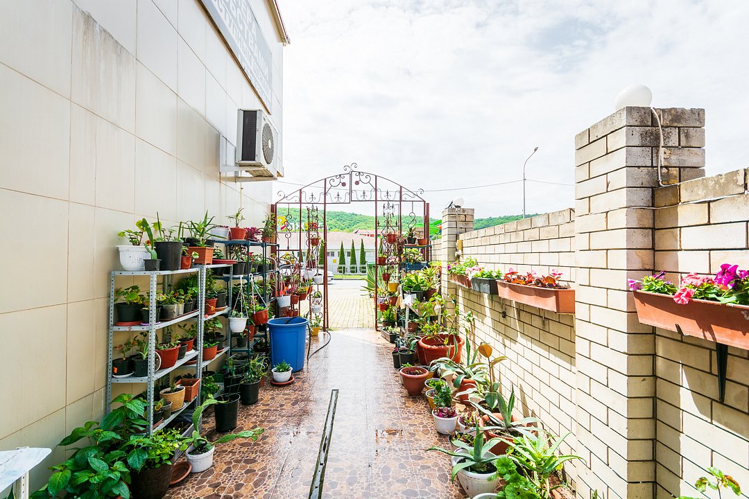 Территория | Уют Джубга, Краснодарский край