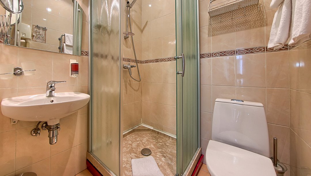 Делюкс 3-местный (вид на Невский)