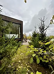 Дома в аренду Blueberry Village