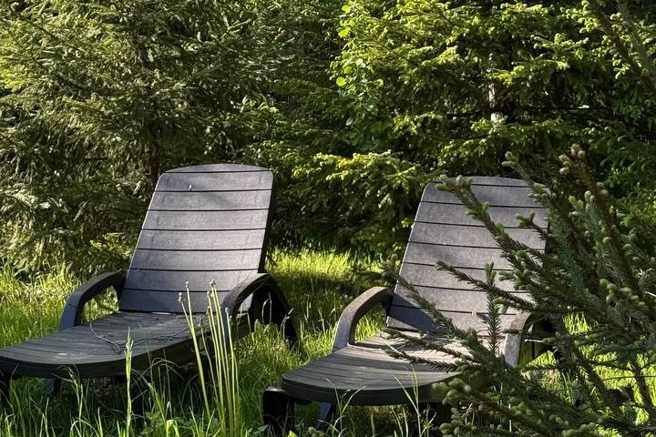 Лесной с сауной и чаном Лес_Озеро_Дом, Московская область: фото 4