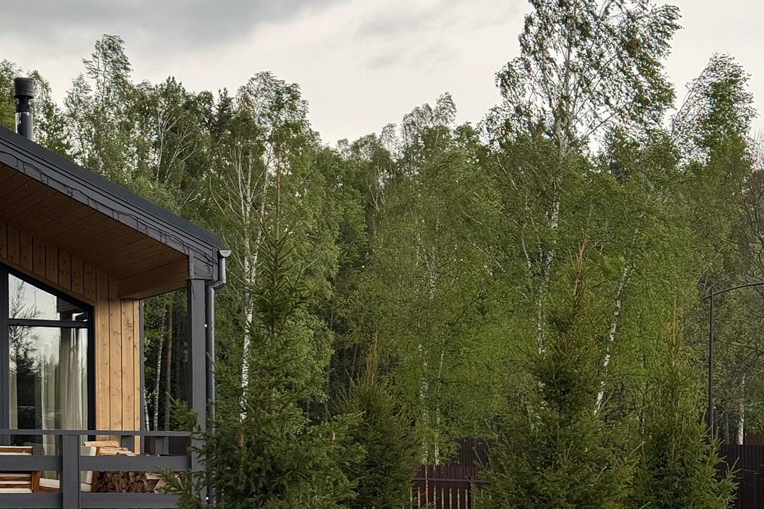 Cozy home с сауной и камином Лес_Озеро_Дом, Московская область: фото 5