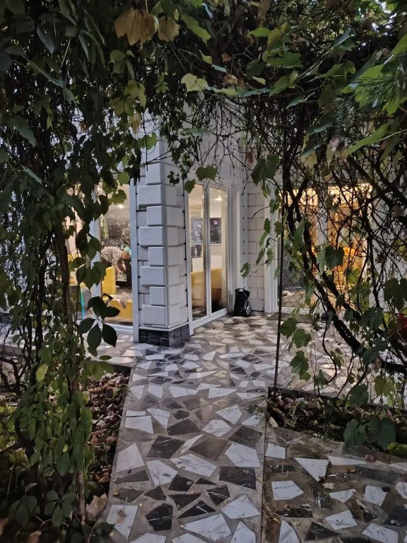 Зебра, Московская область: фото 2