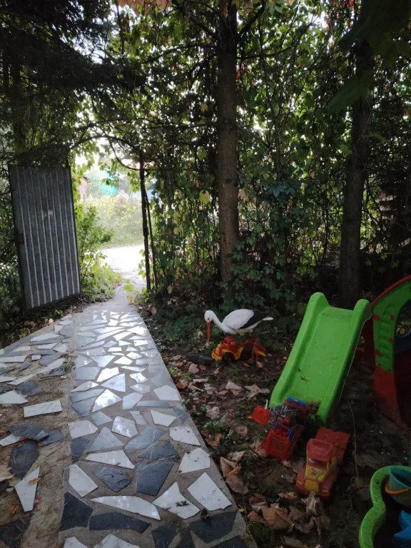 Зебра, Московская область: фото 5