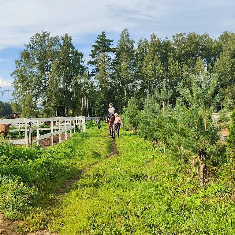 Частный дом Уютный с 3 спальнями и чаном рядом с лесом, Московская область: фото 4