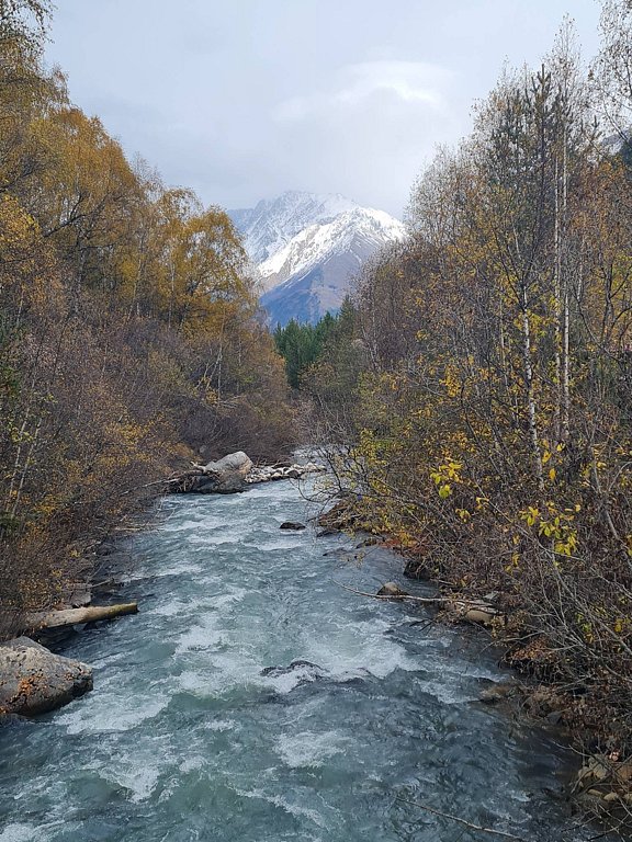 Фото из отзыва от 16.10.2025