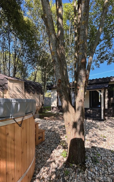 Частный дом Хвойный 483, Московская область: фото 3