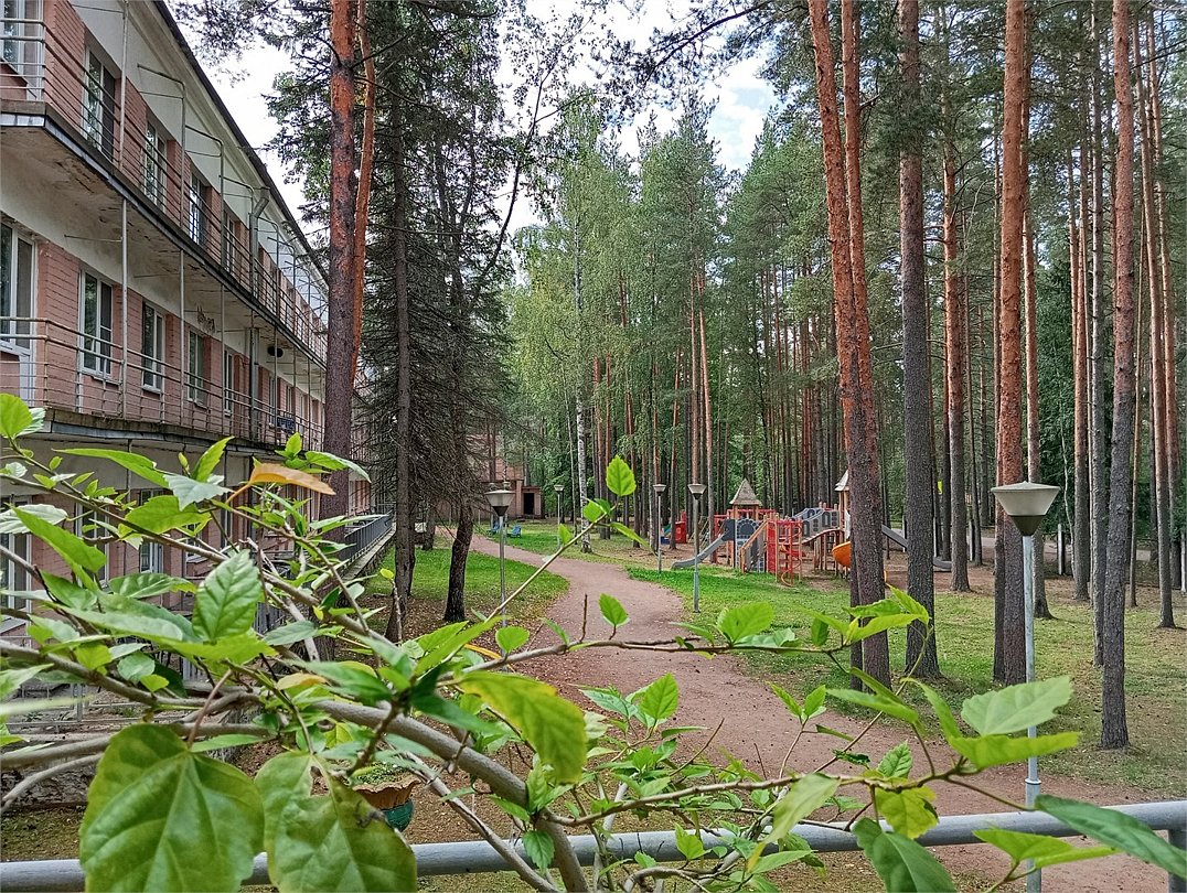 Дом отдыха Комарово, поселок Комарово, Ленинградская область