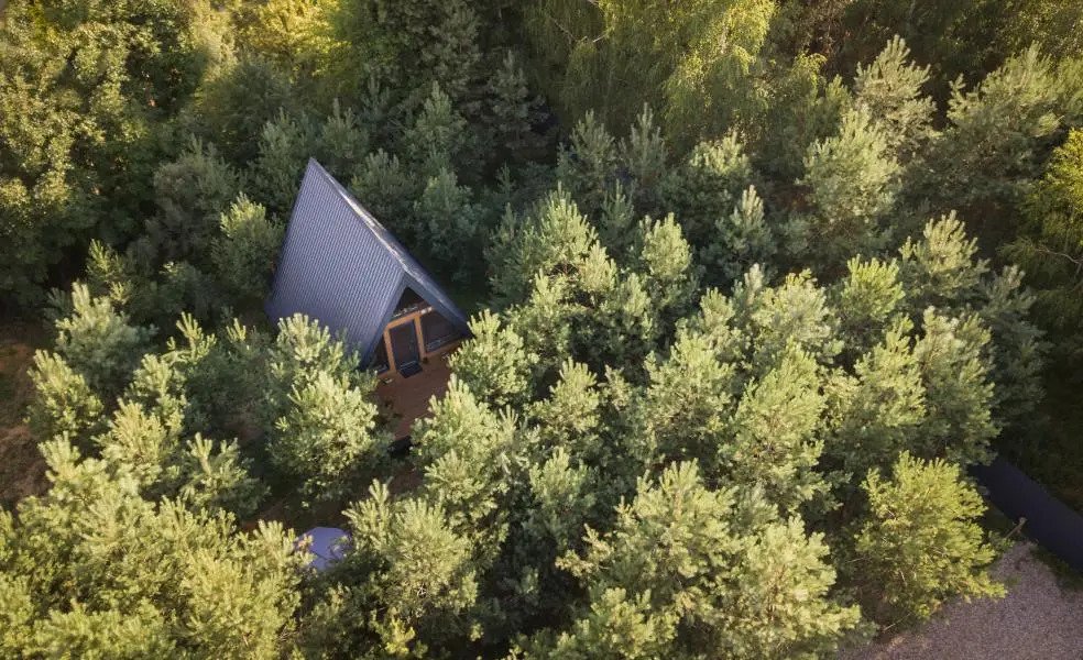 Кусочек рая в соснах, Московская область: фото 3