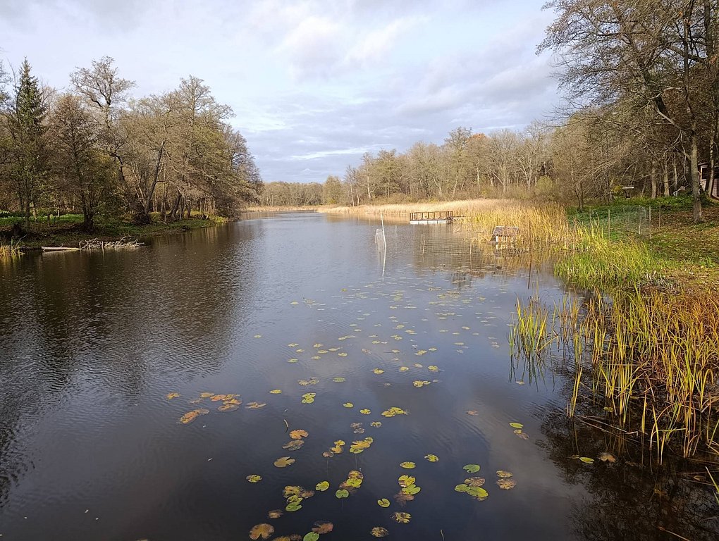 Фото из отзыва от 30.10.2025