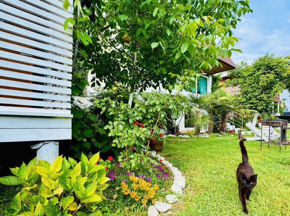 Территория | Mozaika, Гагрский район