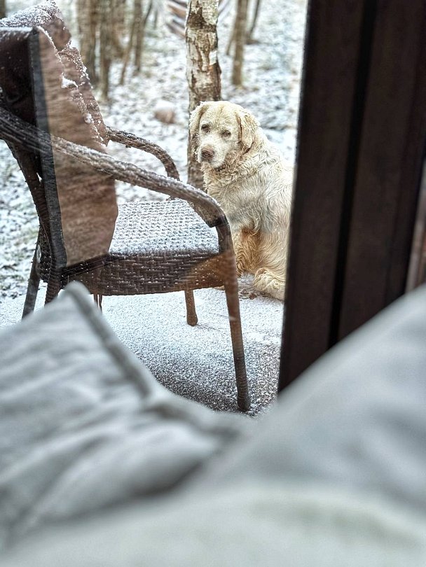 Дом 2-местнвй 1-комнатный (стеклянный)