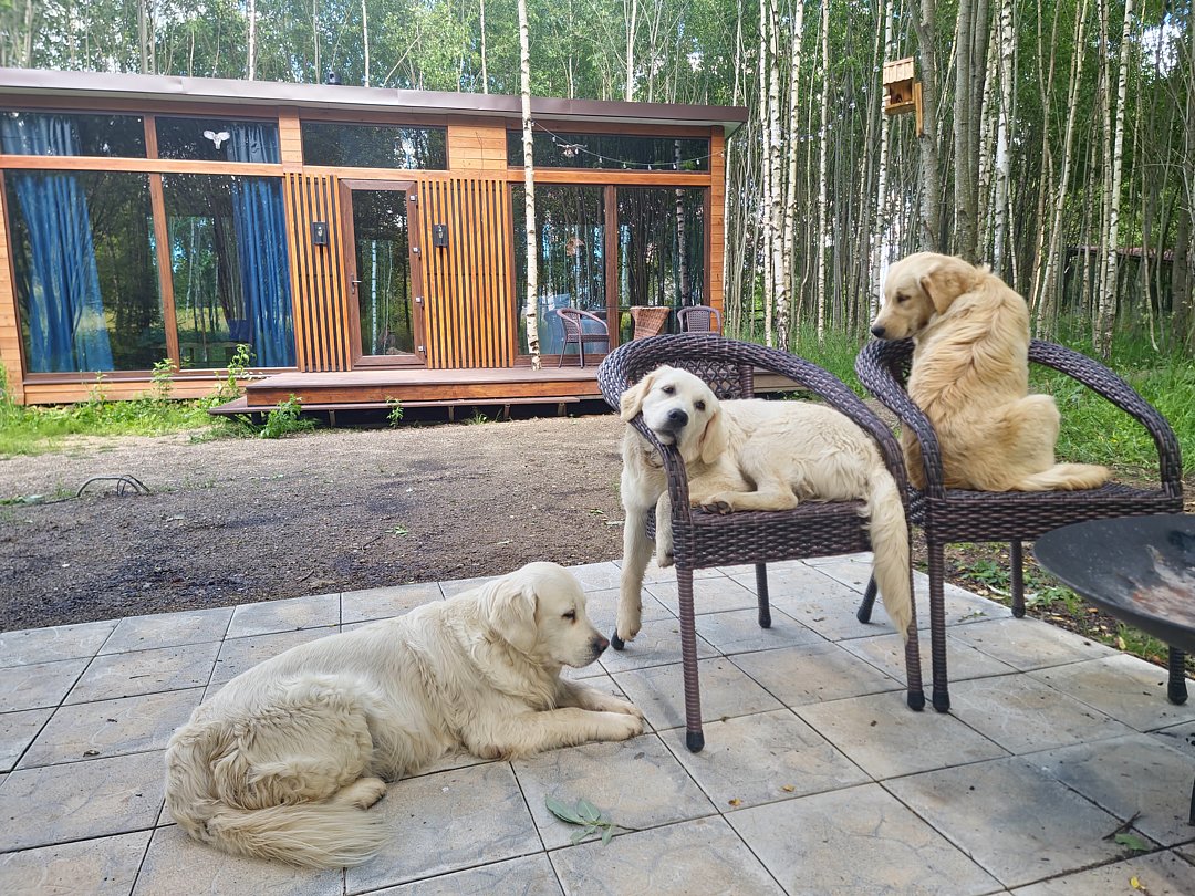 Дом 2-местнвй 1-комнатный (стеклянный)