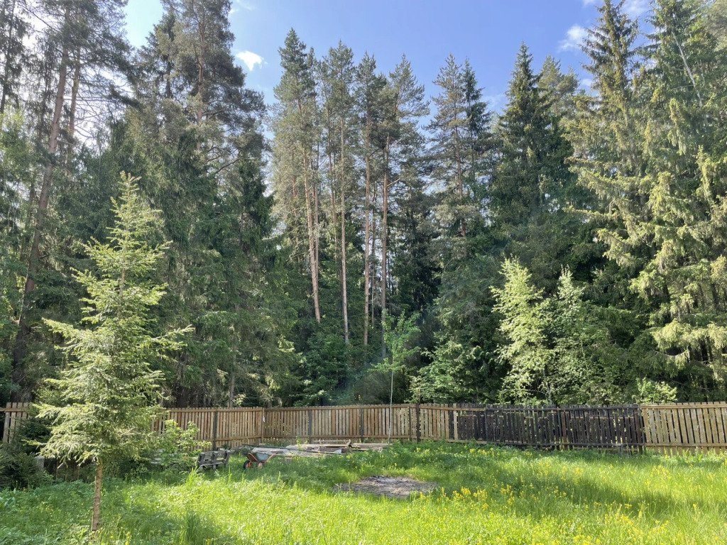 Частный дом в лесу Woodcamp, Московская область: фото 2