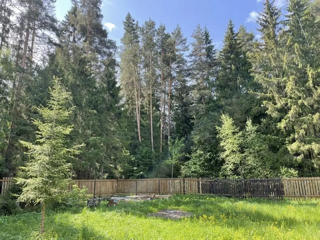 Частный дом в лесу Woodcamp, Московская область: фото 2