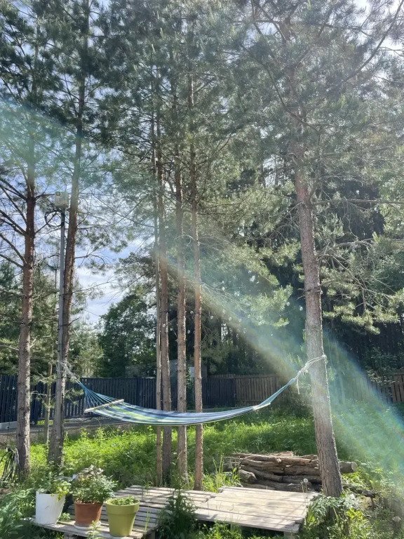 Частный дом в лесу Woodcamp, Московская область: фото 3