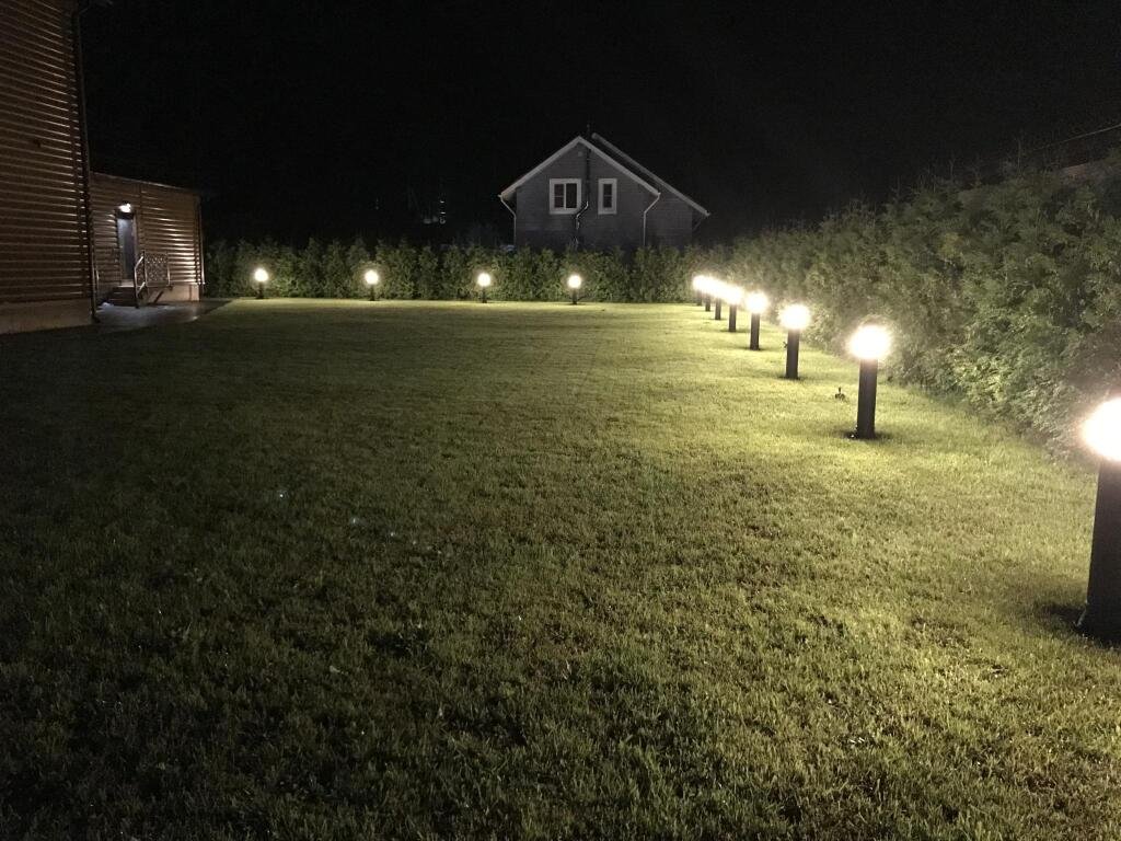 Дельфин, Московская область: фото 4