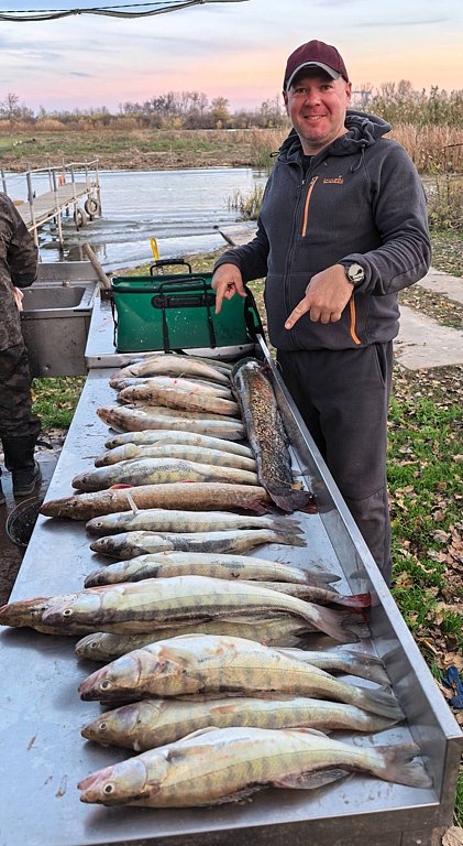 Фото из отзыва от 26.10.2025