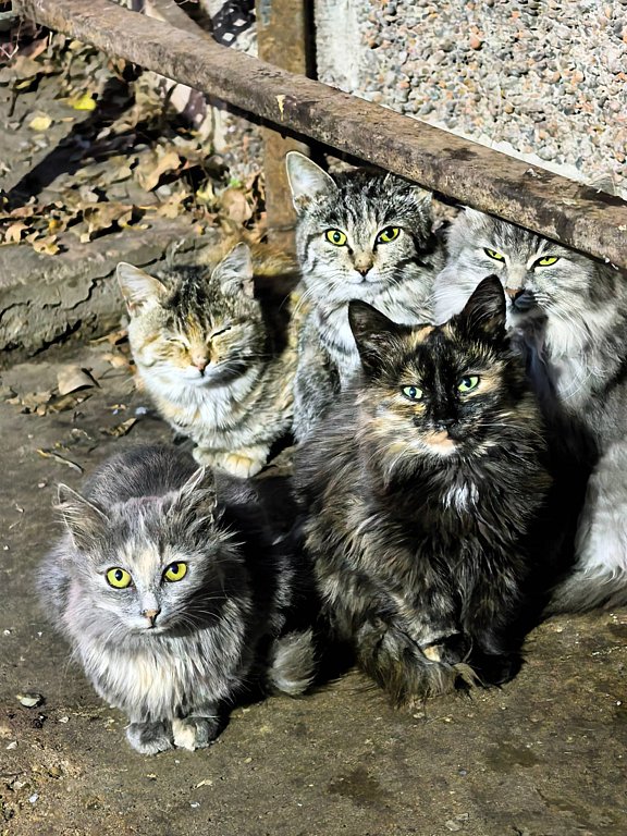 Фото из отзыва от 26.10.2025