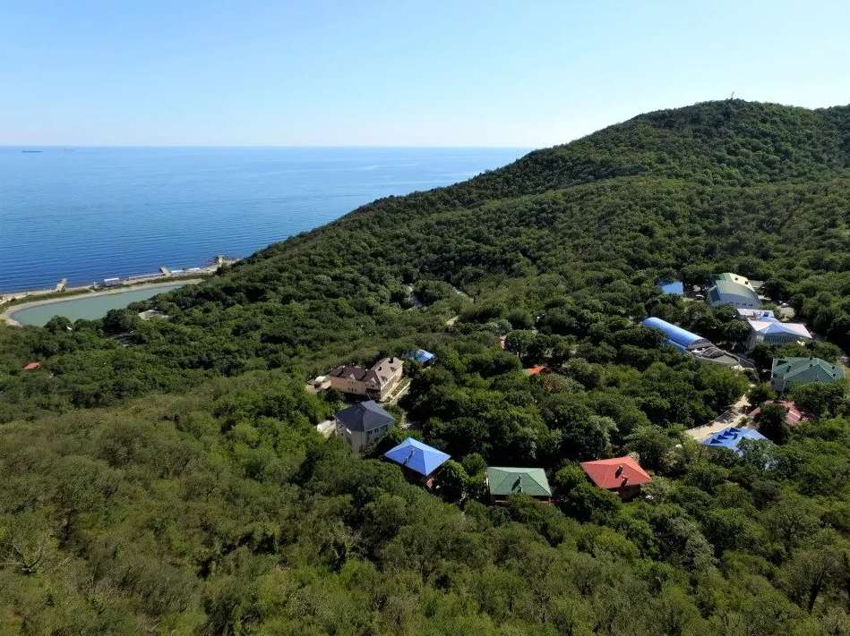 Внешний вид | Звездный, Краснодарский край