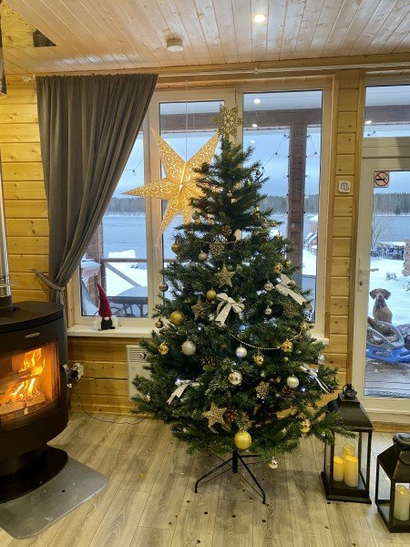 Коттедж 6-местный 4-комнатный (№3)