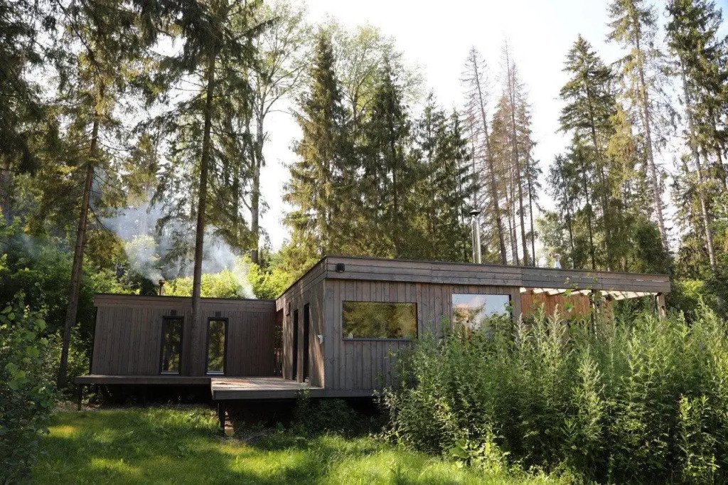 Шале в хвойном лесу, Истринский район, Московская область