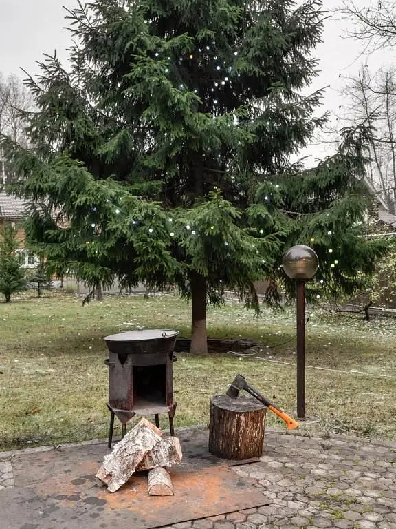 Частный дом Sazonki Family, Московская область: фото 5
