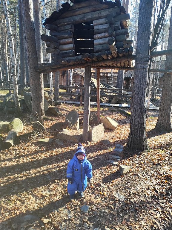 Фото из отзыва от 03.11.2025