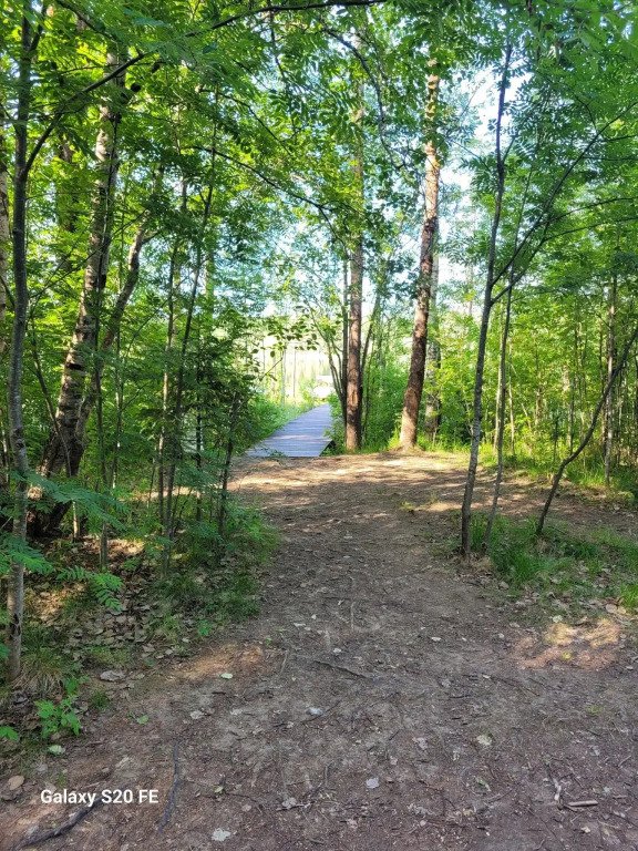 БАНЯ-ДОМ, Ленинградская область: фото 5