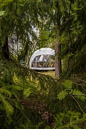 Глэмпинг Vuoksa Camp