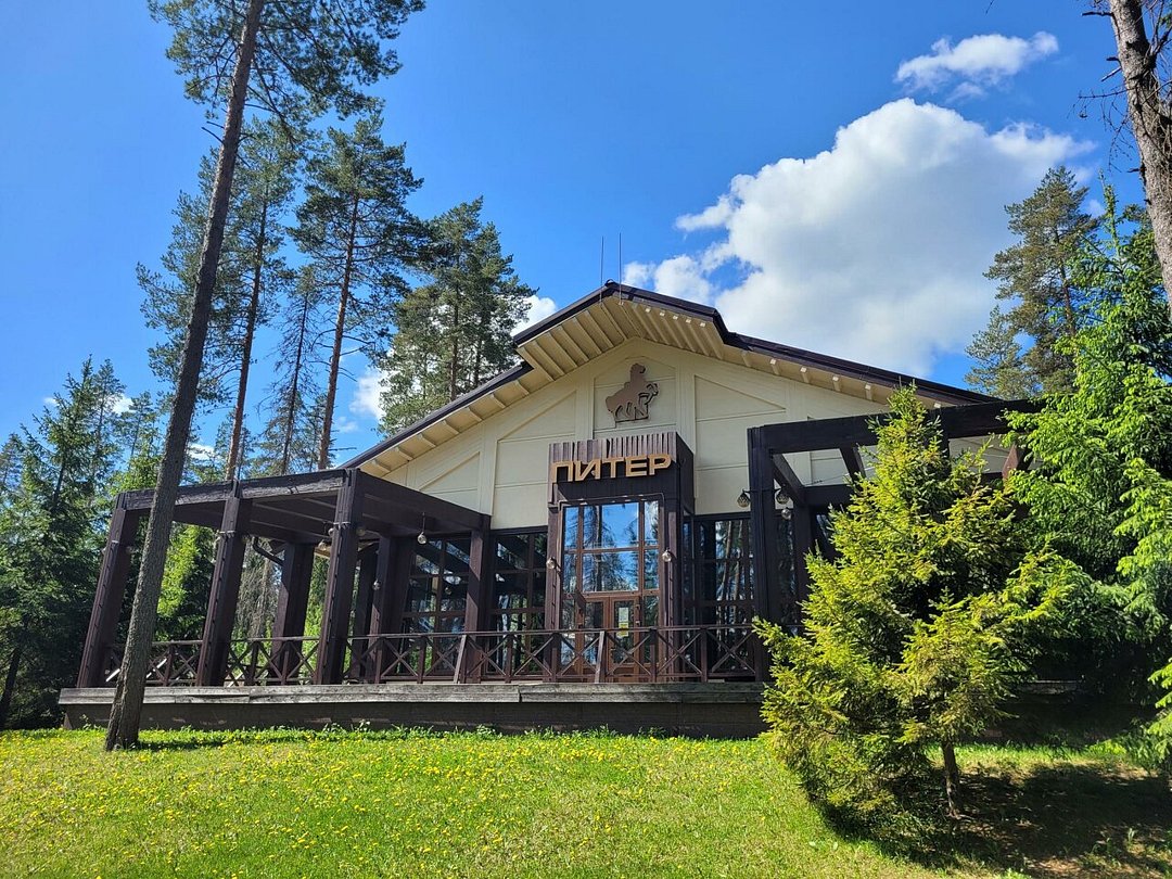 База отдыха Ильичево, Ленинградская область, Ильичево Зеленогорск поселок Огоньки поселок Ольшаники Выборгский район поселок Репино