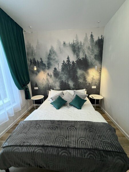 Апартаменты 2-местный 1-комнатный (Туманный лес)