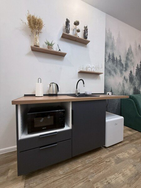 Апартаменты 2-местный 1-комнатный (Туманный лес)