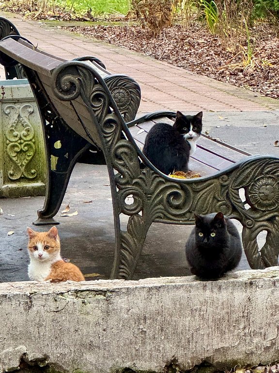 Фото из отзыва от 08.11.2025